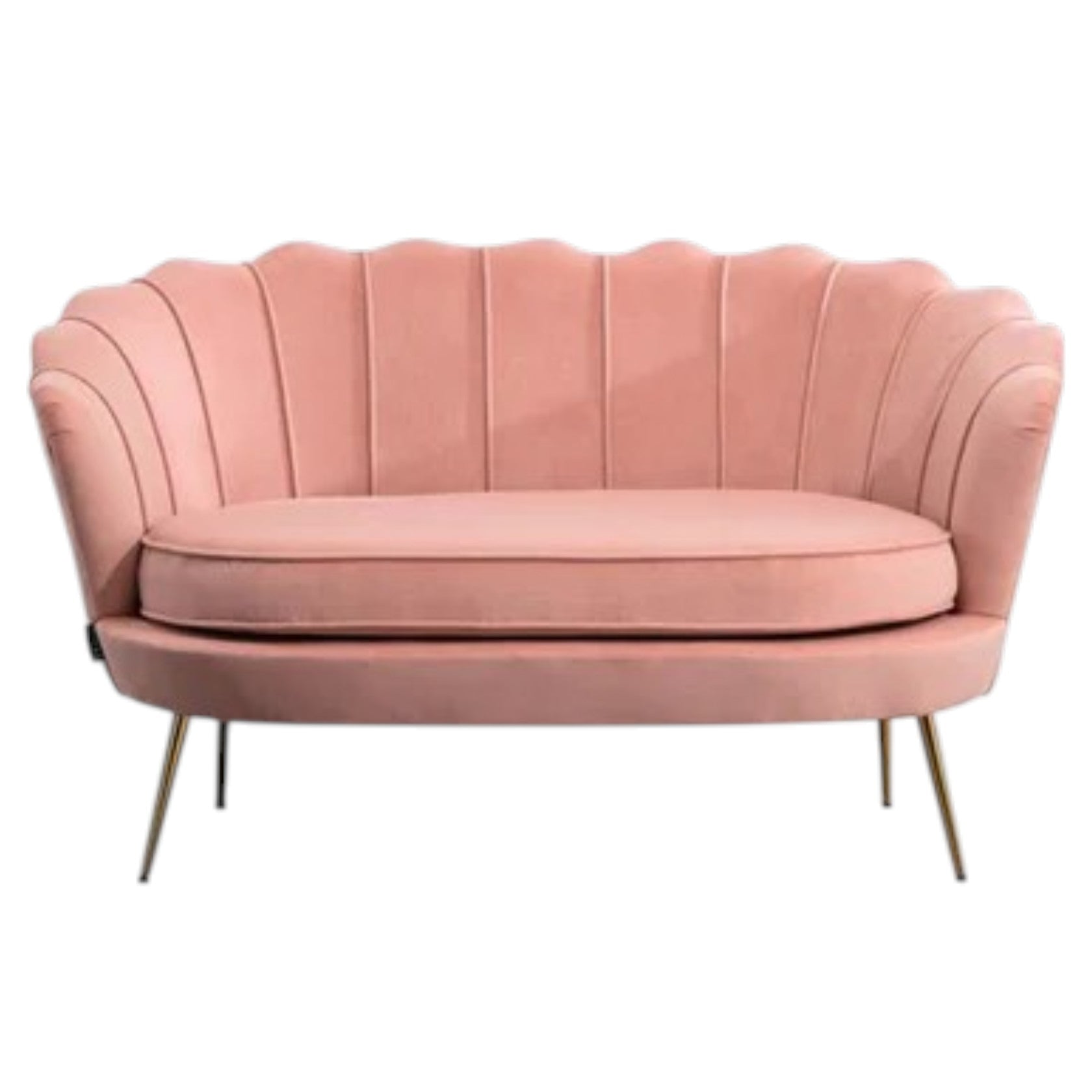 2 Seater Velvet Sofa with Channel Tufting and Gold Legs